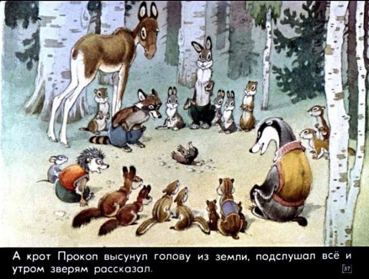 krapivnaya-gorka-38