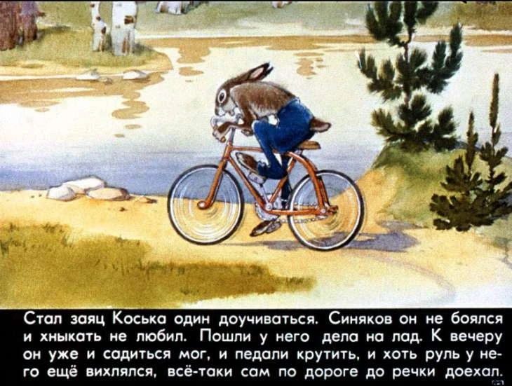 pro-lisu-larisku-16