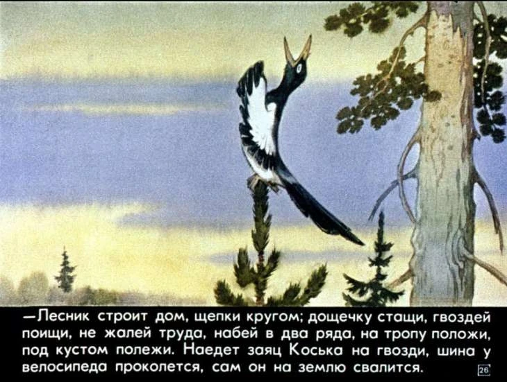 pro-lisu-larisku-27