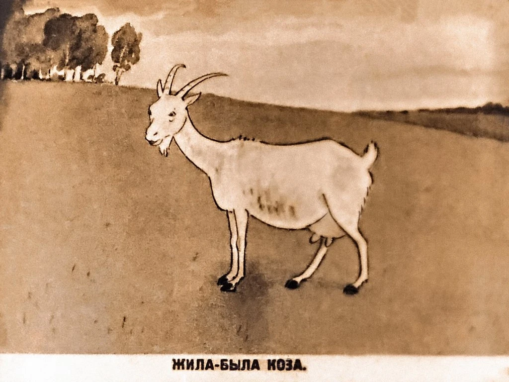 koza-i-kozljata-4