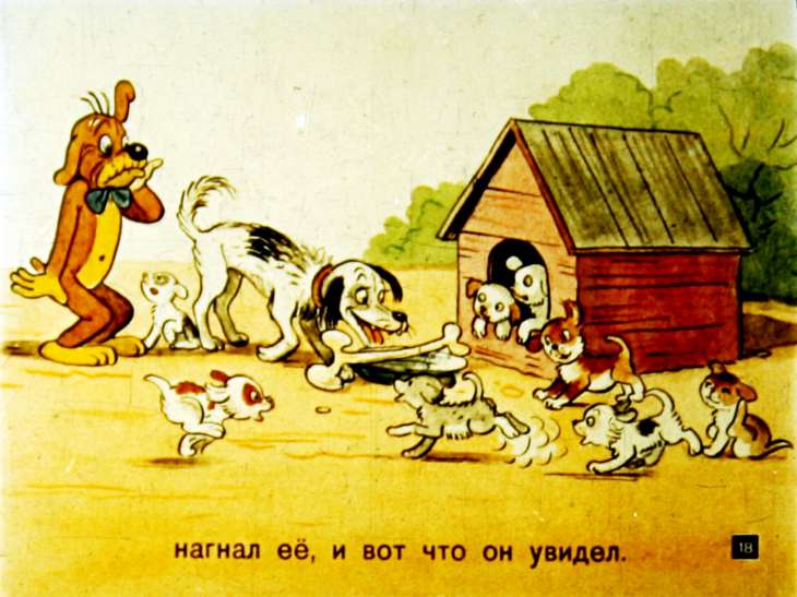 novye-priklyucheniya-pifa-19