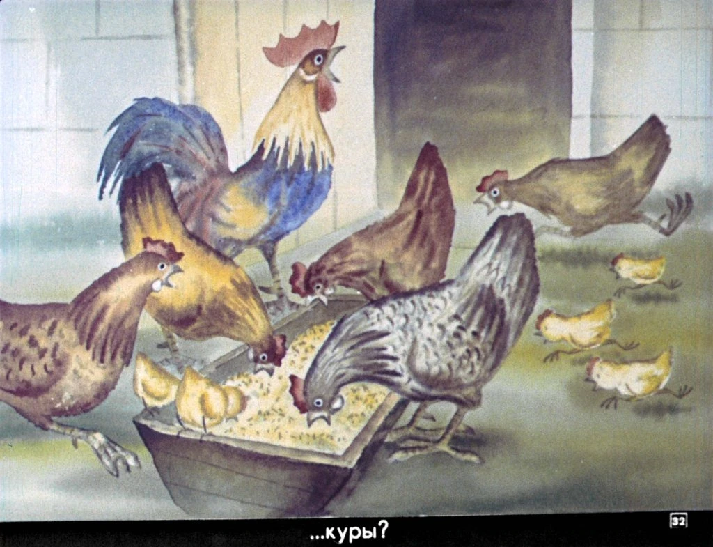 omu-kakaja-eda-33