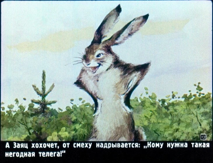 raznye-kolesa-13