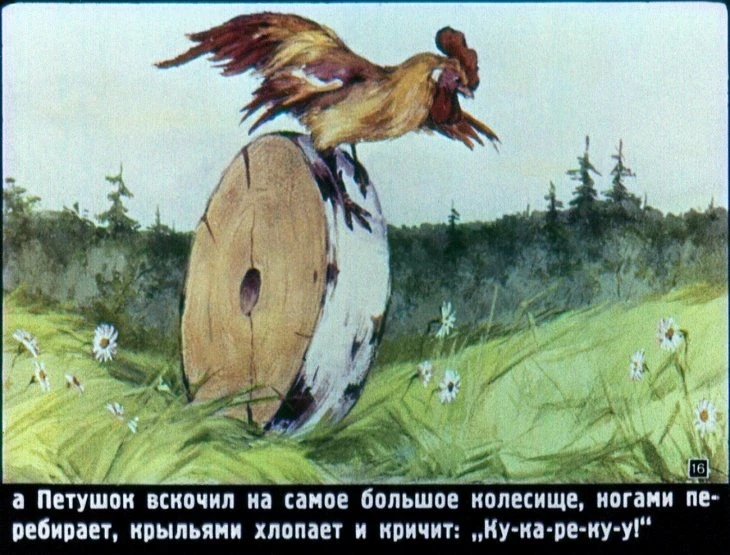 raznye-kolesa-17