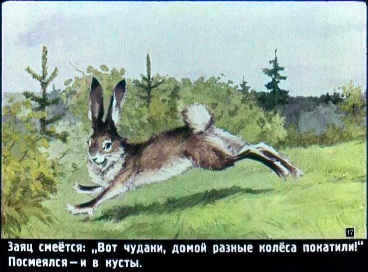 raznye-kolesa-18