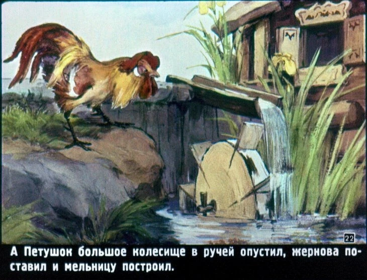 raznye-kolesa-23