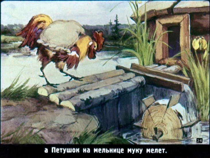 raznye-kolesa-25