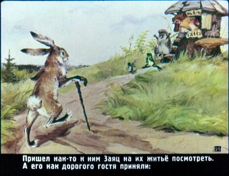 raznye-kolesa-26