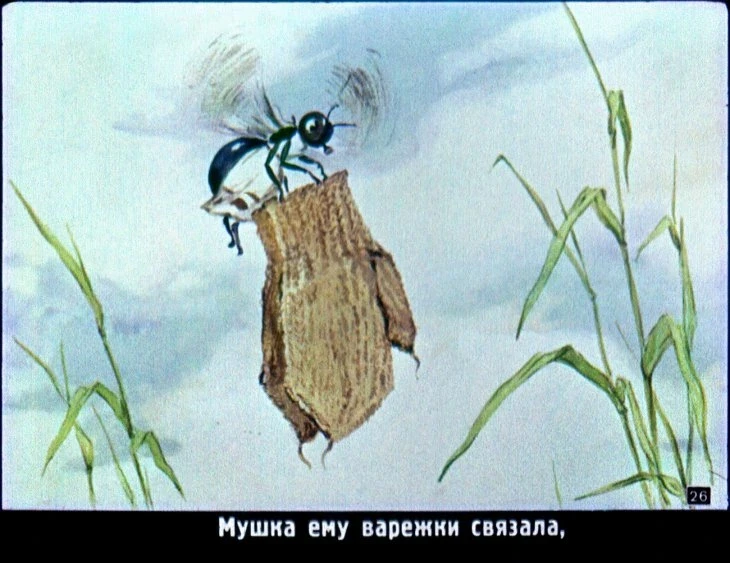 raznye-kolesa-27