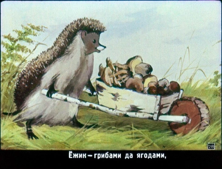 raznye-kolesa-29