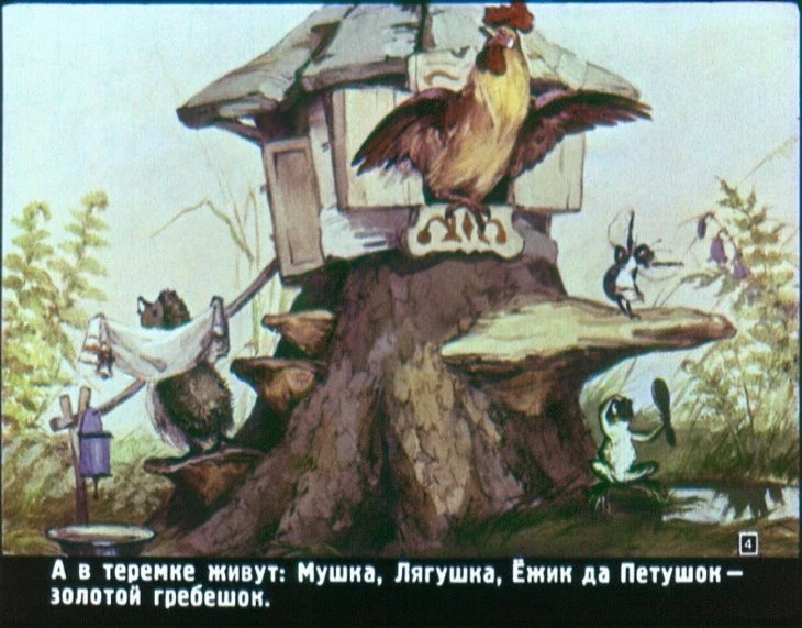 raznye-kolesa-5