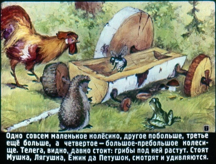 raznye-kolesa-8
