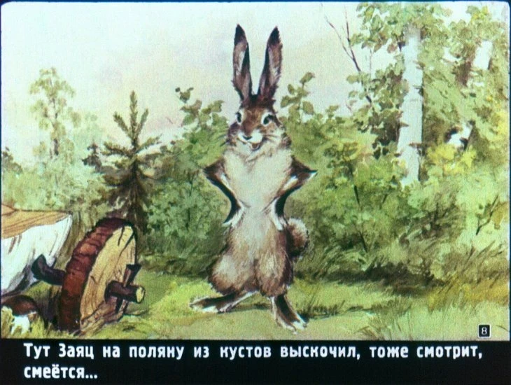raznye-kolesa-9