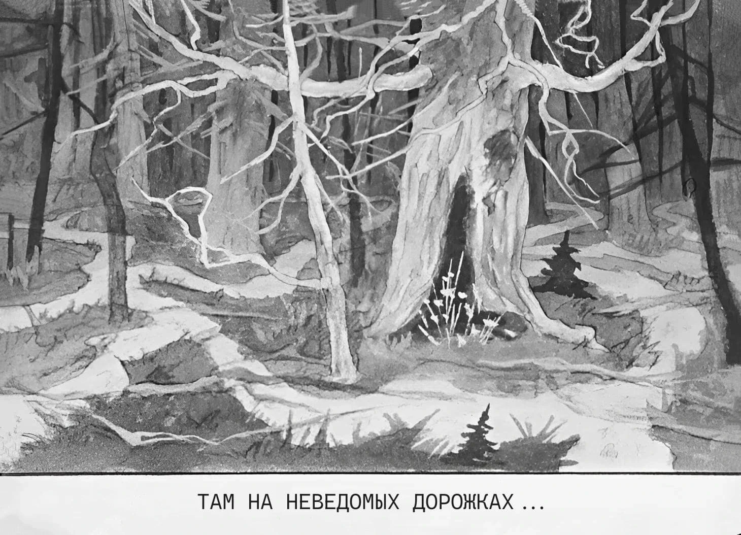 u-lukomorya-10