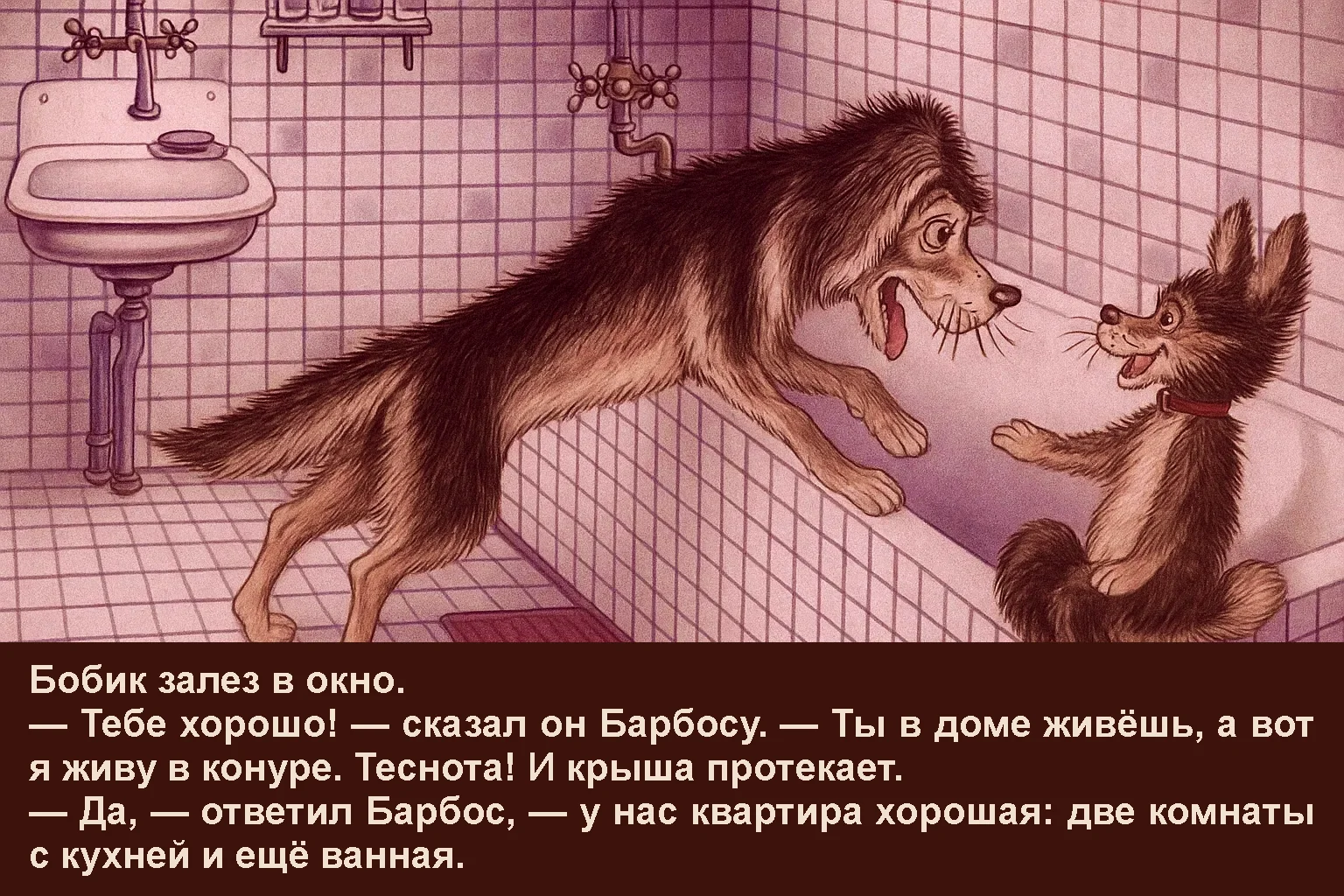 bobik-v-gostjah-u-barbosa-7